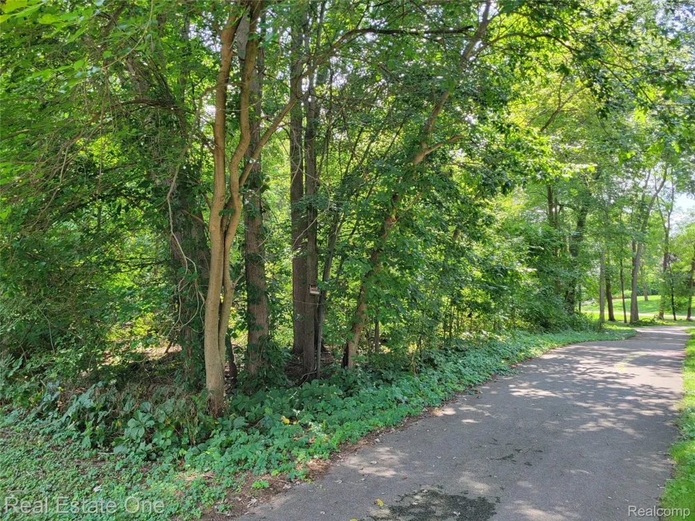 Tamworth Street Commerce Charter Township, MI 48382