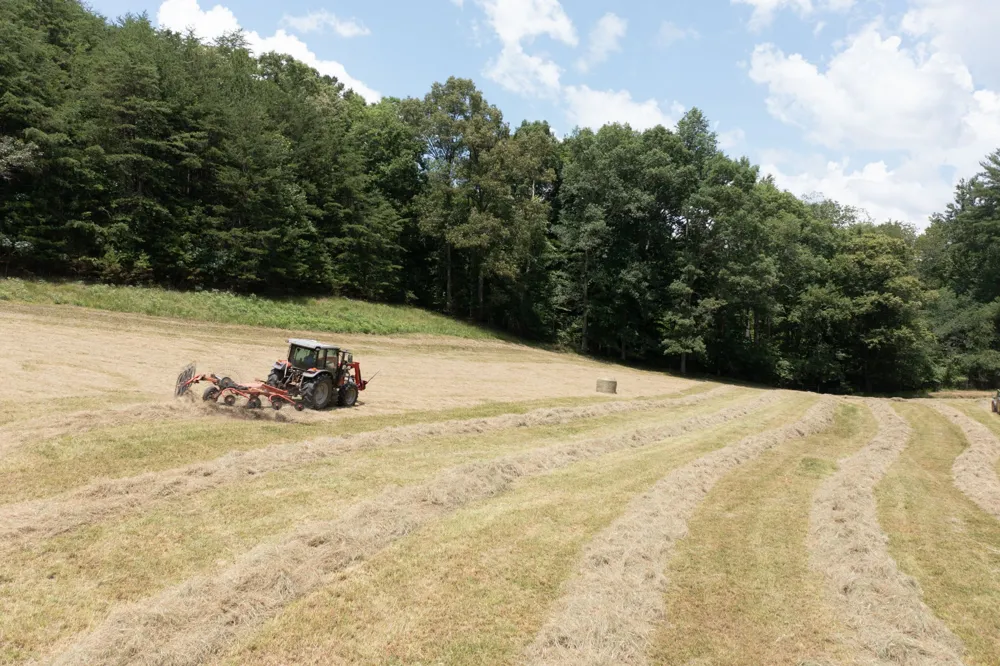 710 Donley Rd Murphy, NC 28906