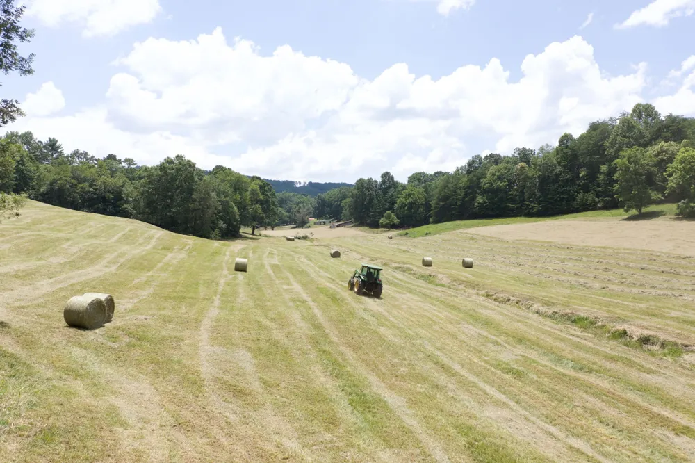 710 Donley Rd Murphy, NC 28906