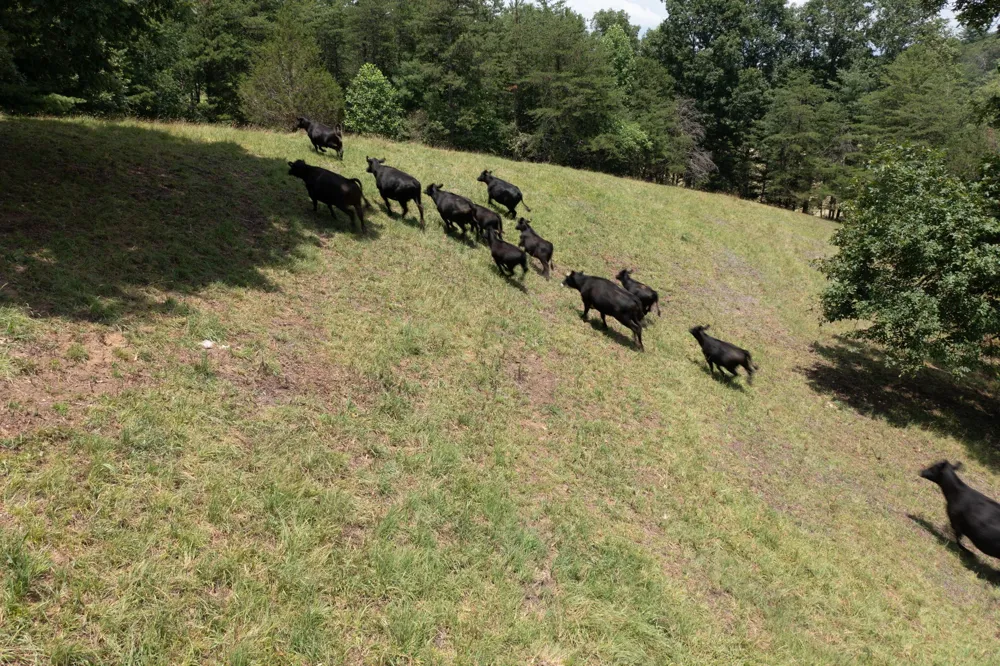 710 Donley Rd Murphy, NC 28906