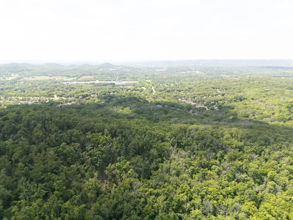 45 Dartmouth Dr Brentwood, TN 37027