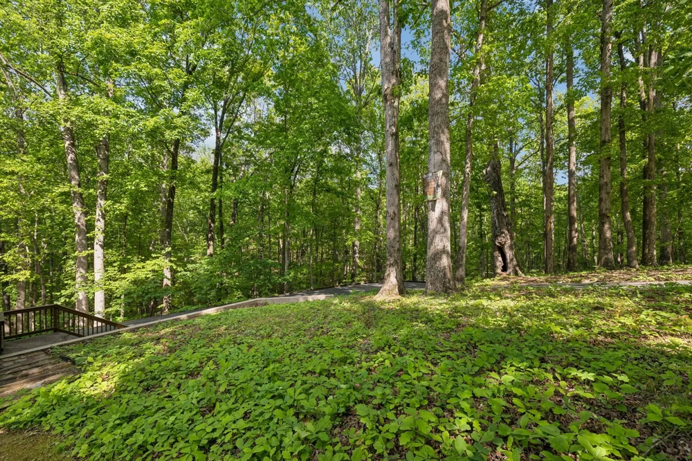 5717 Old 96 Franklin, TN 37064