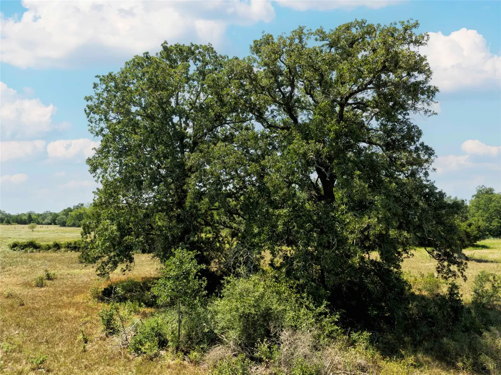 1830 Holub Road Schulenburg, TX 78956
