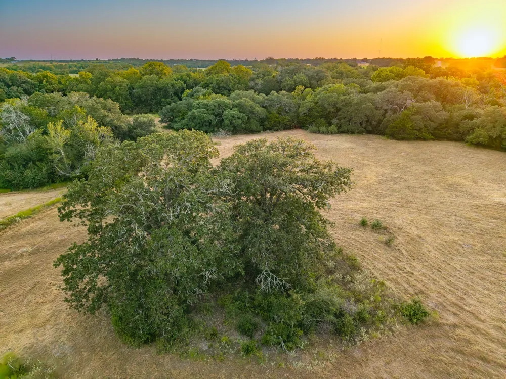 1830 Holub Road Schulenburg, TX 78956