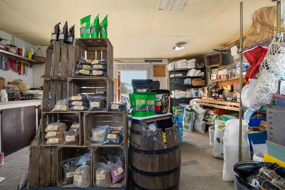 508 Main Street Hersey, MI 49639
