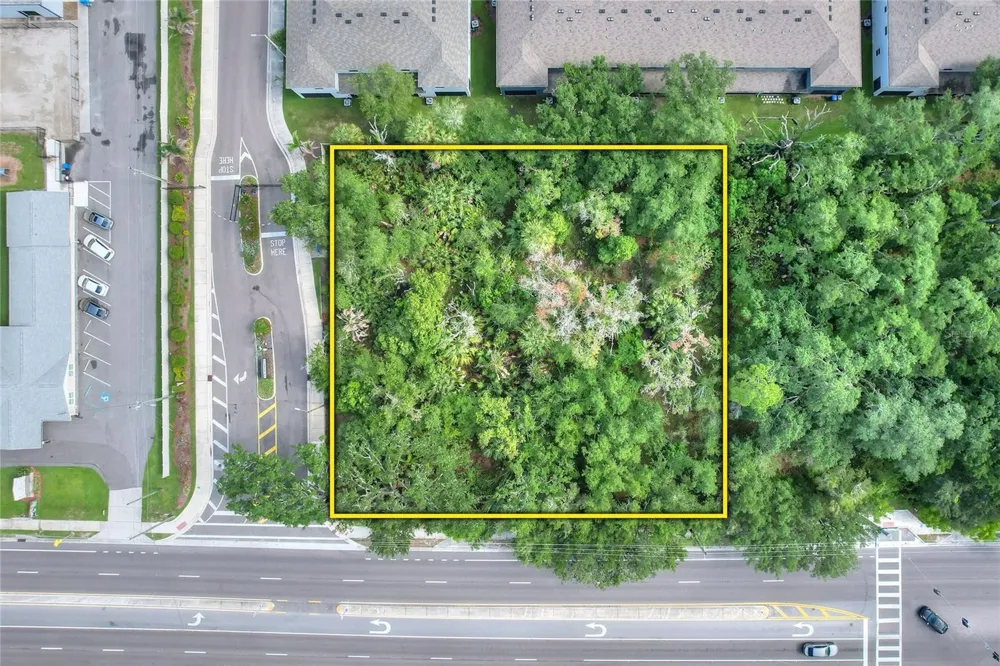 1240 BLOOMINGDALE AVENUE Valrico, FL 33596