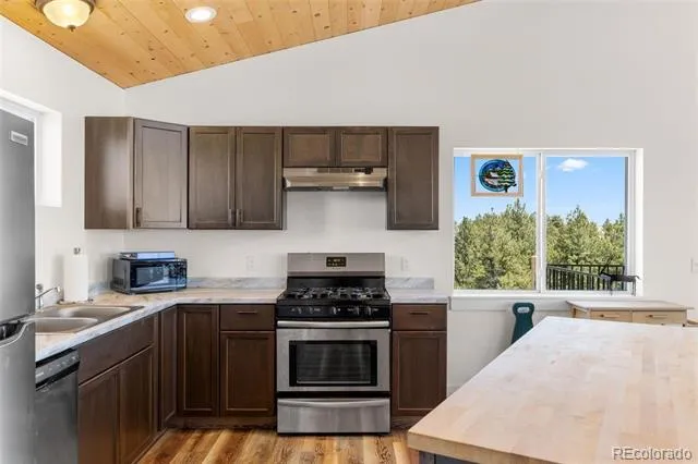 431 Rudisill Street Fairplay, CO 80440