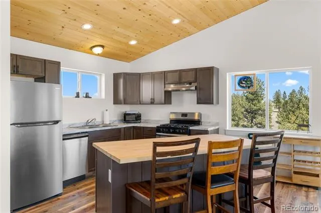 431 Rudisill Street Fairplay, CO 80440