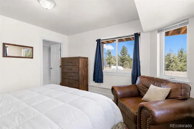 431 Rudisill Street Fairplay, CO 80440