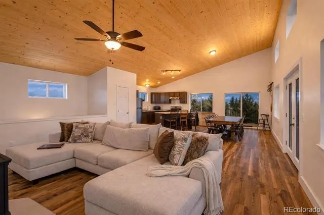 431 Rudisill Street Fairplay, CO 80440