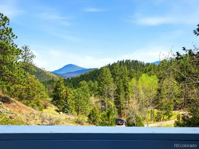 204 Bob Cat Trail Bailey, CO 80421
