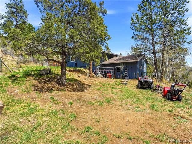 204 Bob Cat Trail Bailey, CO 80421