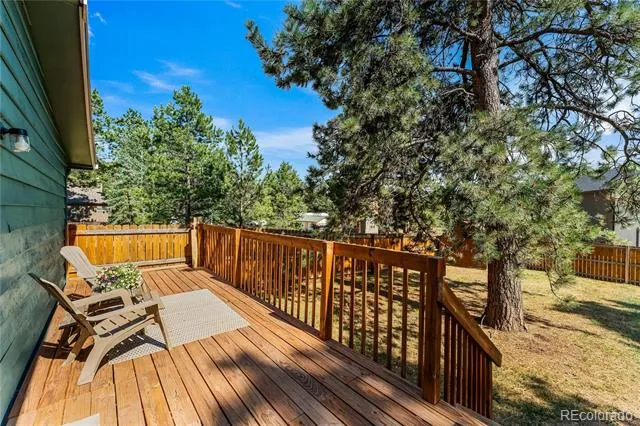 300 S Fairview Street Woodland Park, CO 80863