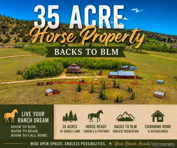 474 Gap Road Fairplay, CO 80440