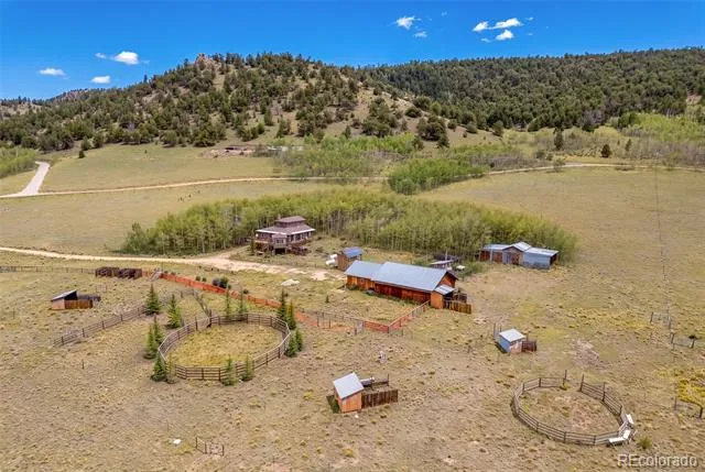 474 Gap Road Fairplay, CO 80440