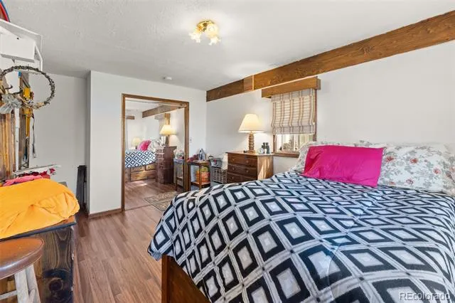 474 Gap Road Fairplay, CO 80440