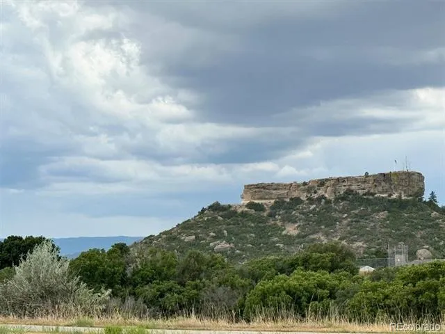 1307 Wildwood Lane Castle Rock, CO 80104