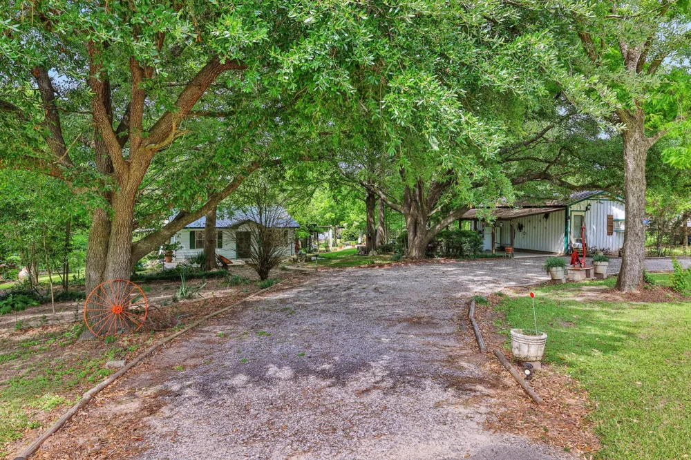 211 Fm 224 Road Coldspring, TX 77331