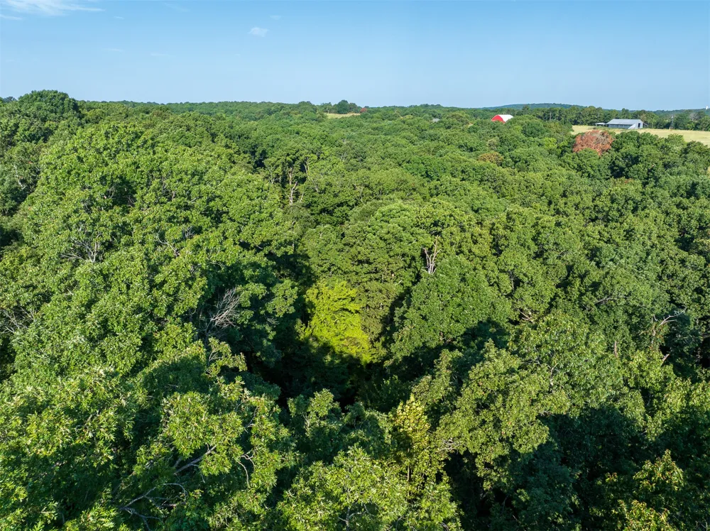 209 State Highway 59 Stilwell, OK 74960