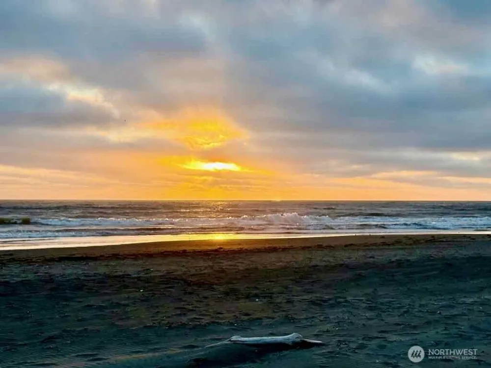 813 Salmonbery Beach Grayland, WA 98547