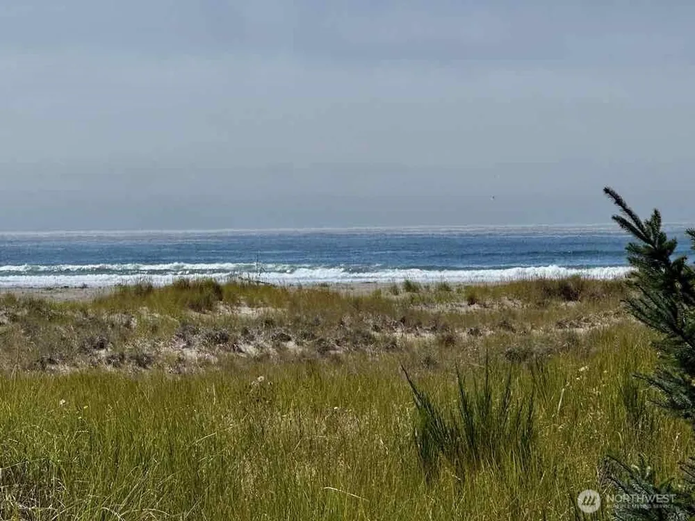 813 Salmonbery Beach Grayland, WA 98547