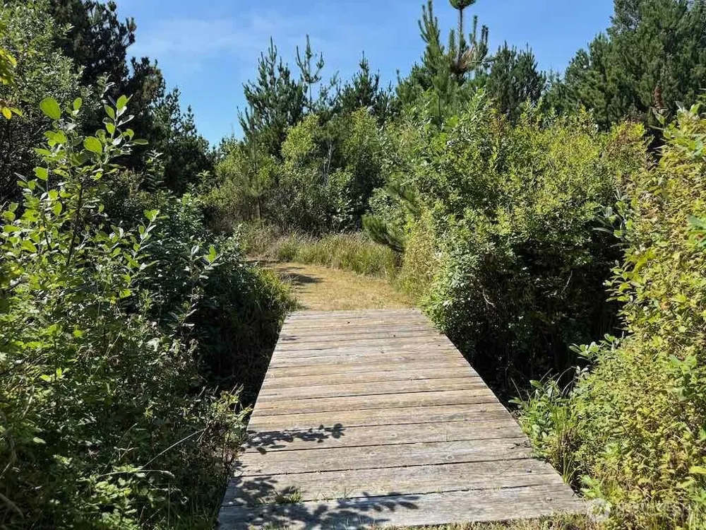 813 Salmonbery Beach Grayland, WA 98547