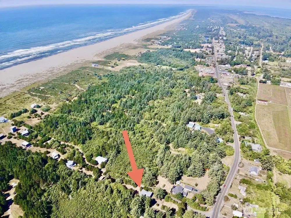 813 Salmonbery Beach Grayland, WA 98547