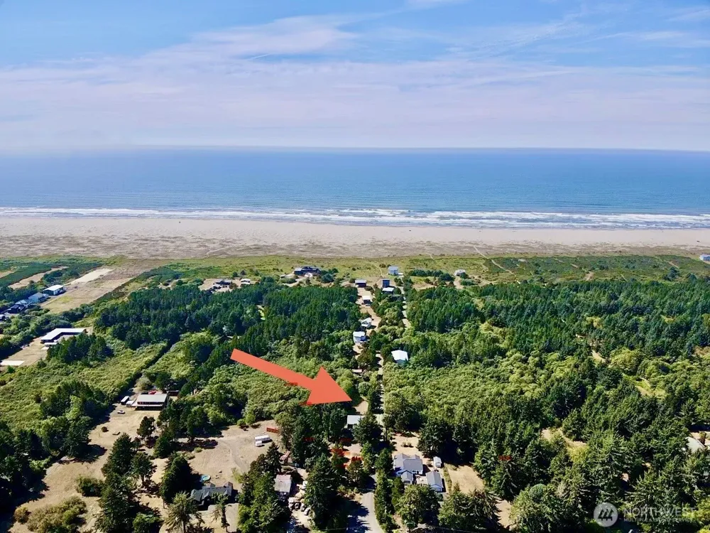 813 Salmonbery Beach Grayland, WA 98547
