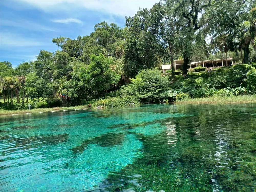 19199 SW 92ND LOOP Dunnellon, FL 34432