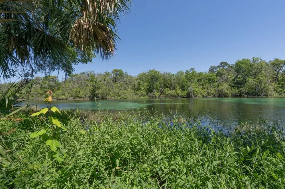 19199 SW 92ND LOOP Dunnellon, FL 34432