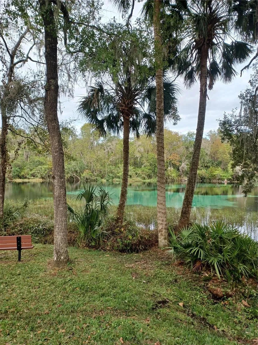 19199 SW 92ND LOOP Dunnellon, FL 34432