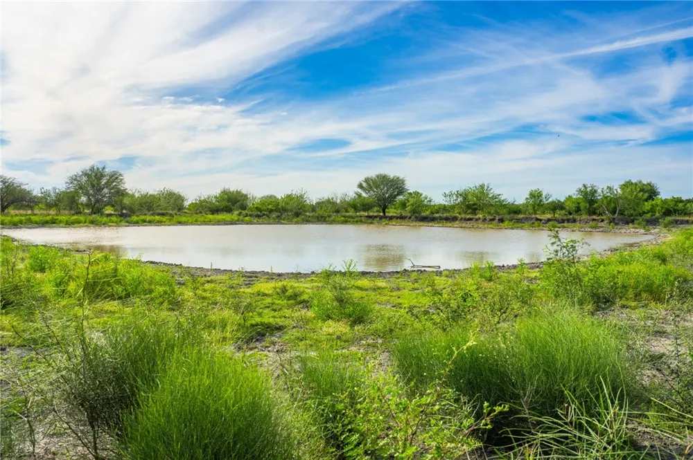 2750 FM 624 Tilden, TX 78072