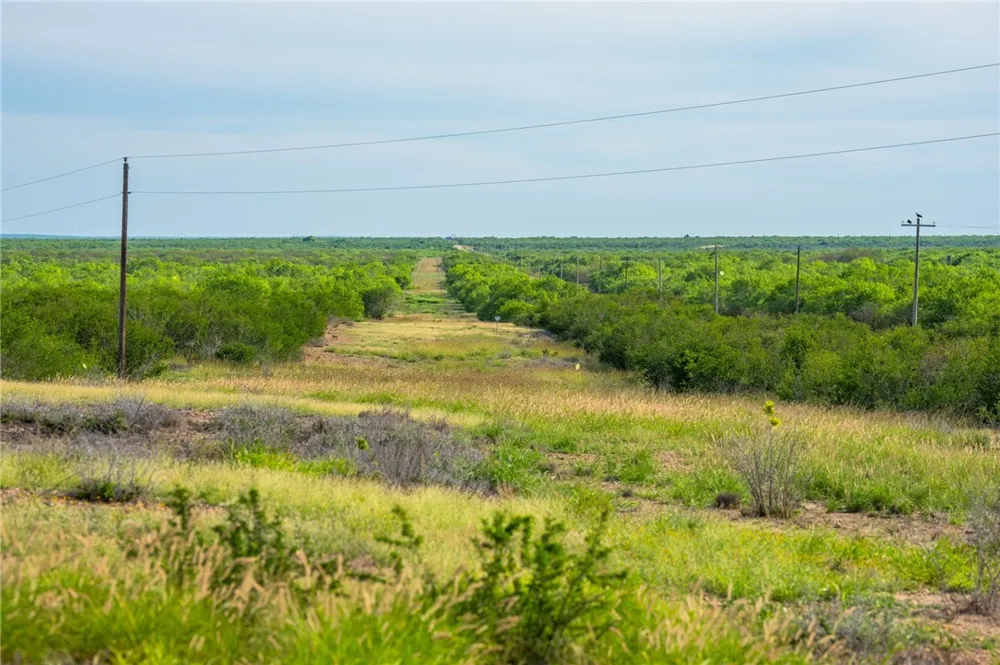 2750 FM 624 Tilden, TX 78072