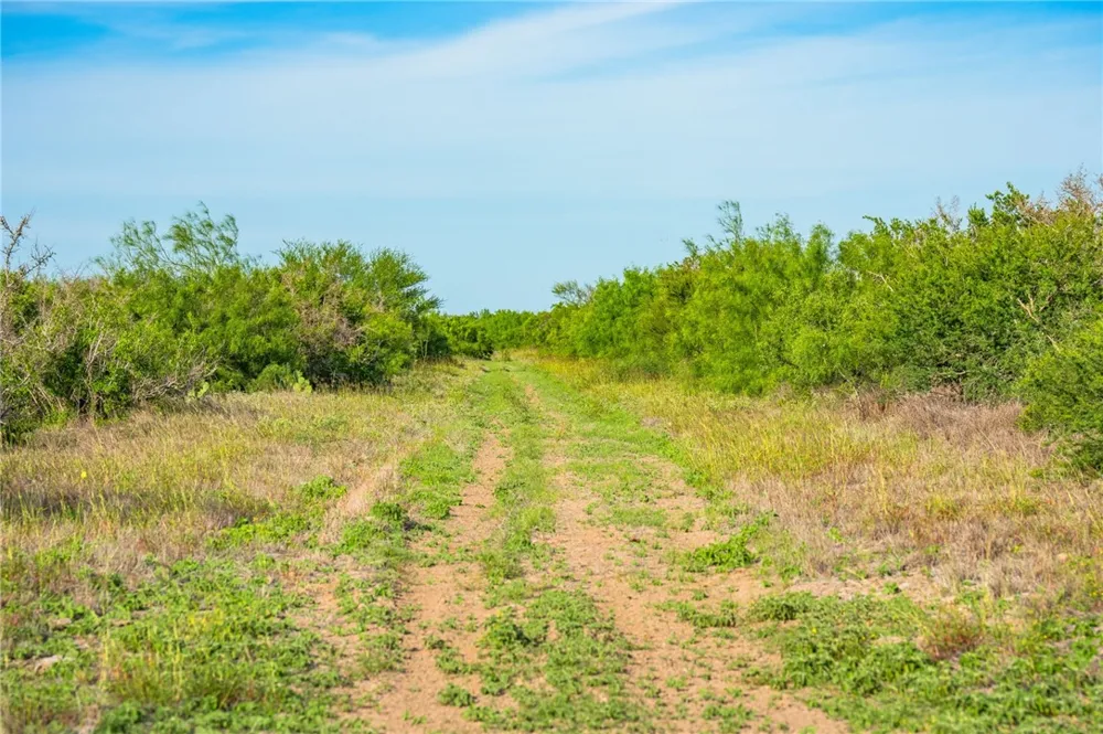 2750 FM 624 Tilden, TX 78072