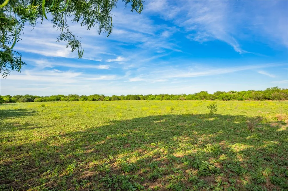 2750 FM 624 Tilden, TX 78072