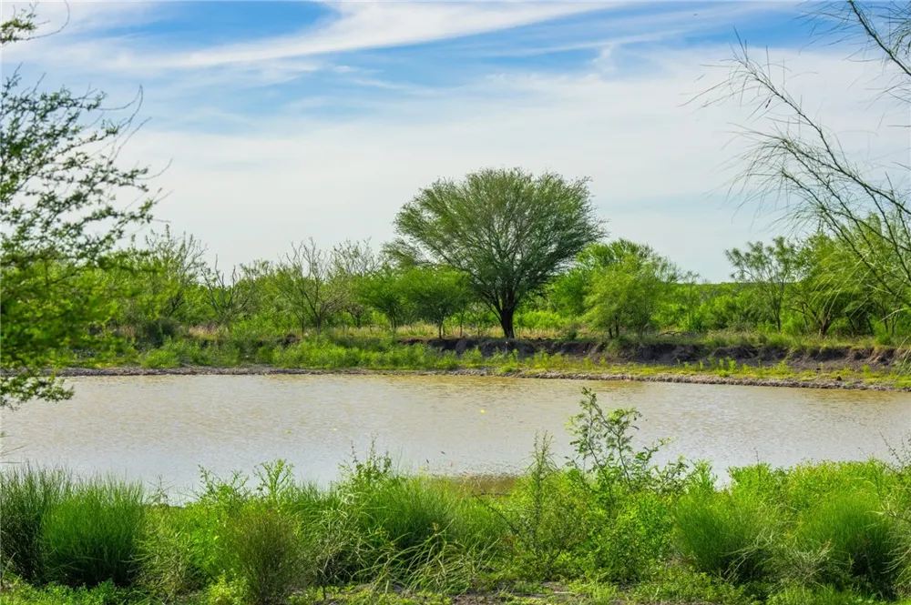 2750 FM 624 Tilden, TX 78072