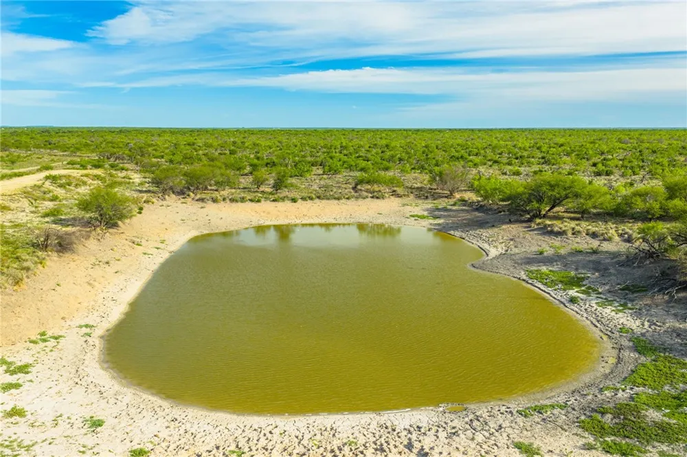 2750 FM 624 Tilden, TX 78072