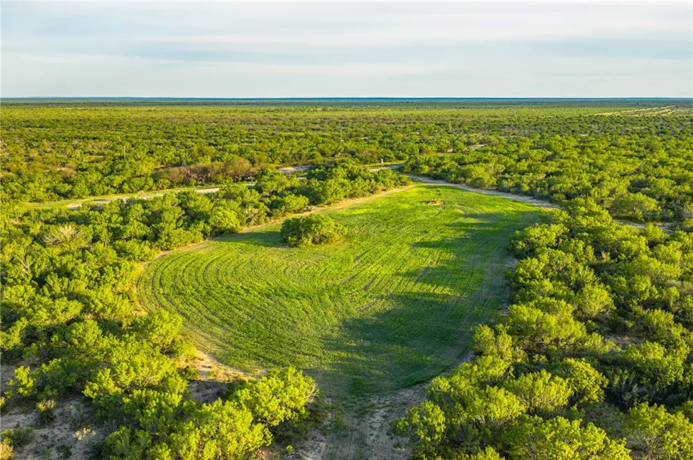 2750 FM 624 Tilden, TX 78072