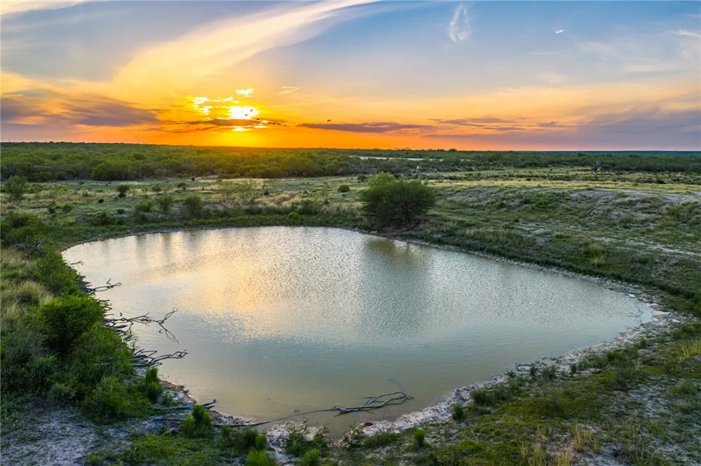 2750 FM 624 Tilden, TX 78072