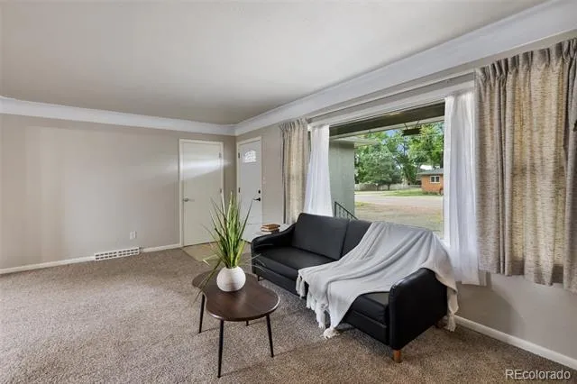 1449 Park Avenue Canon City, CO 81212