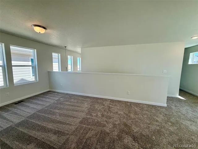 824 Bently Street Watkins, CO 80137
