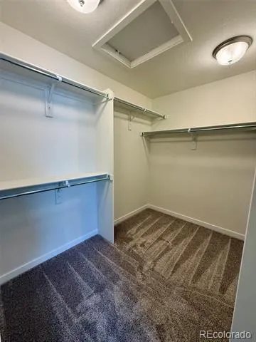 824 Bently Street Watkins, CO 80137