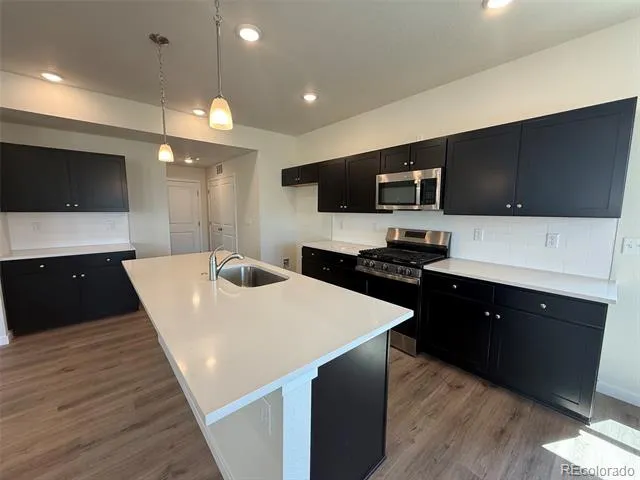 824 Bently Street Watkins, CO 80137