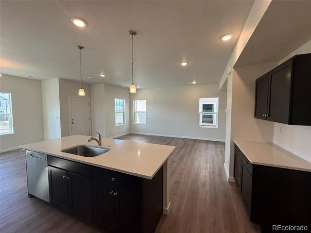 824 Bently Street Watkins, CO 80137