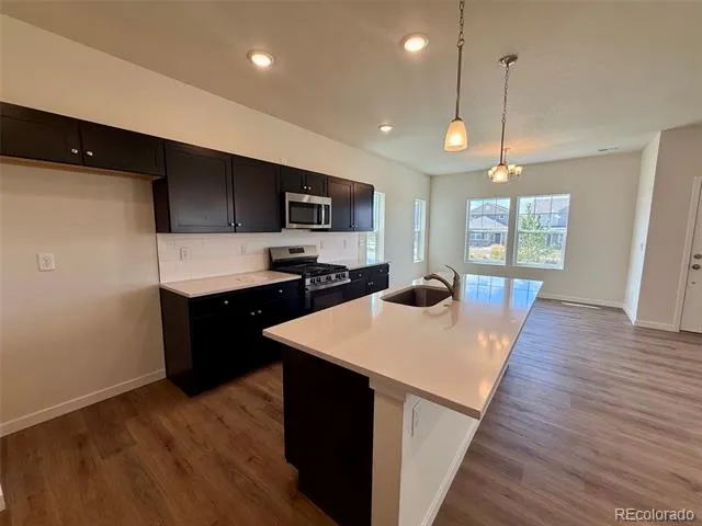 824 Bently Street Watkins, CO 80137