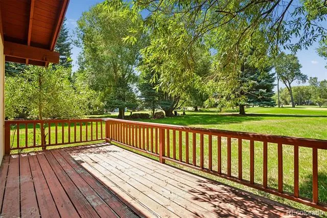 28835 Fairway Drive Buena Vista, CO 81211
