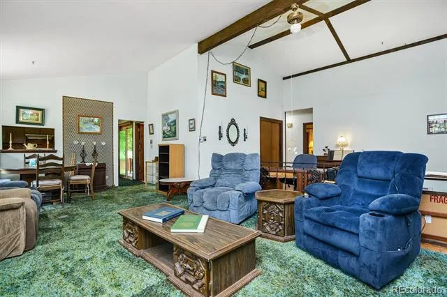 28835 Fairway Drive Buena Vista, CO 81211