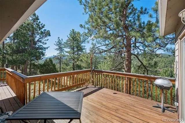 221 Juniper Lane Bailey, CO 80421