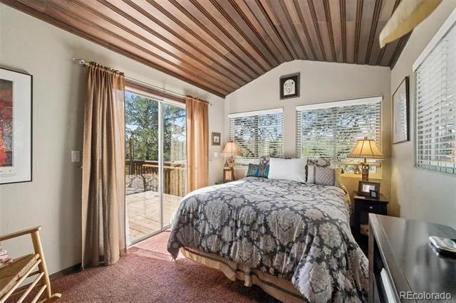 221 Juniper Lane Bailey, CO 80421