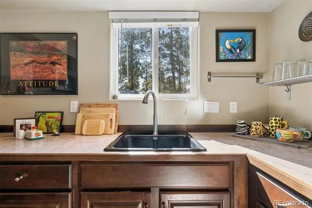 221 Juniper Lane Bailey, CO 80421